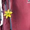 Deuter Giga SL Backpack